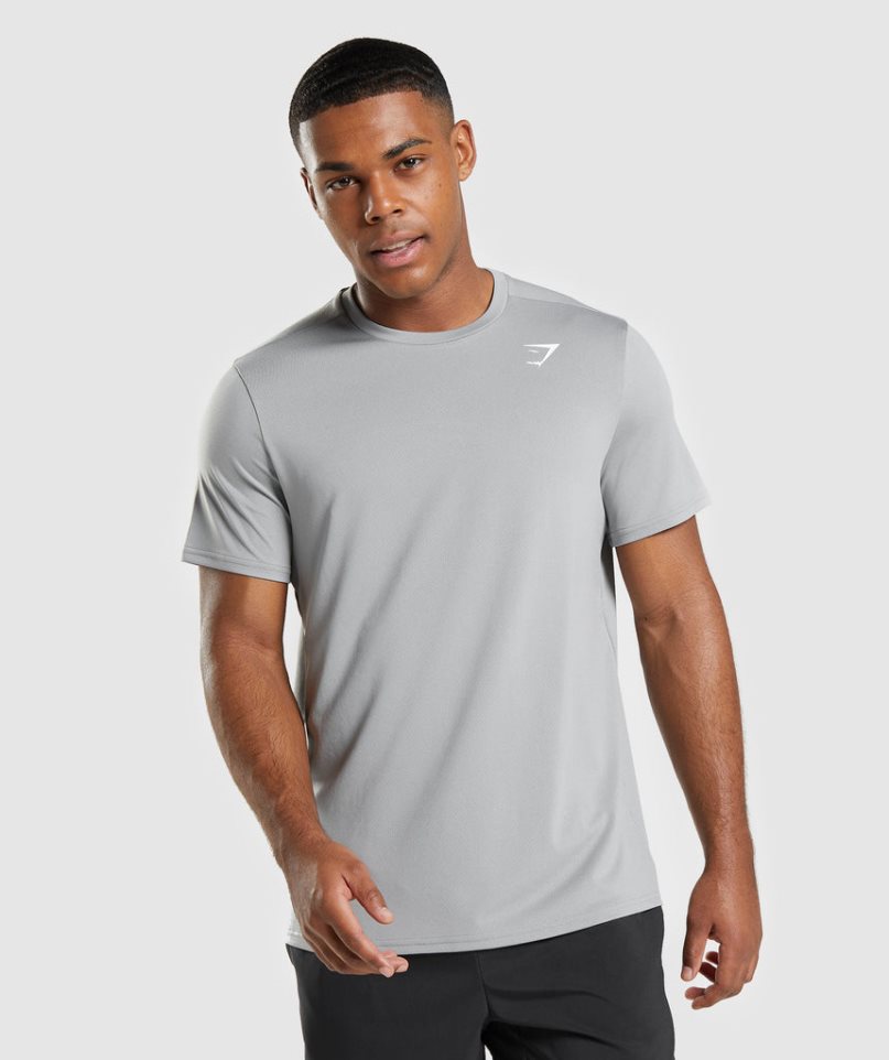 Men\'s Gymshark Arrival Regular Fit T-Shirts Light Grey | CA A713D8